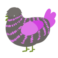 A grey and orchid chicken with a bar pattern