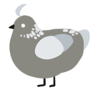 A ash and mist chicken with a neck-speckle pattern