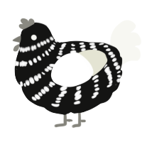 A black and white chicken with a bar pattern