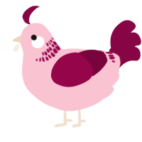 A rose and maroon chicken with a neck-band pattern