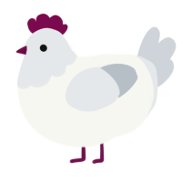 A white and mist chicken with a head pattern