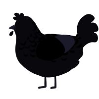 Iowa, a white chicken with a half-lace pattern