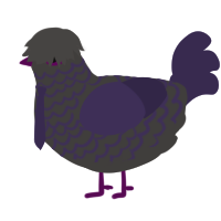 Graveyard, a grey and overcast chicken with a lace pattern