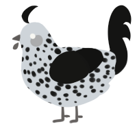 A mist and black chicken with a speckle pattern