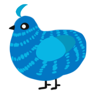 Jaz, a sapphire and cerulean chicken with a bar pattern