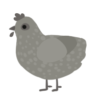 A ash chicken with a speckle pattern