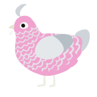 A pink and mist chicken with a lace pattern