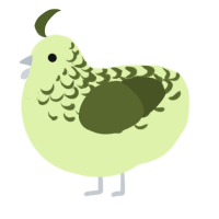 A apple and olive chicken with a half-lace pattern
