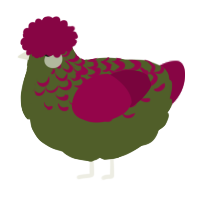 A olive and maroon chicken with a half-lace pattern