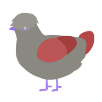 A ash and red chicken
