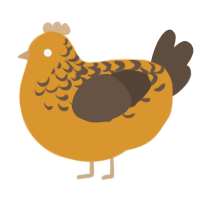 kai, a orange and bark chicken with a half-lace pattern