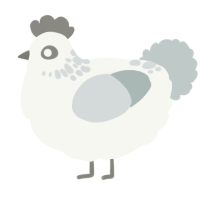 A white and silver chicken with a neck-speckle pattern
