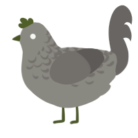 A ash and grey chicken with a half-lace pattern
