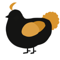 A black and orange chicken