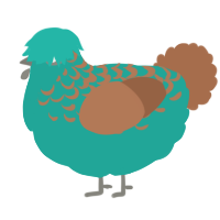 A turquoise and brown chicken with a half-lace pattern