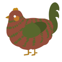 A russet and olive chicken with a bar pattern