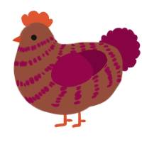 A russet and maroon chicken with a bar pattern