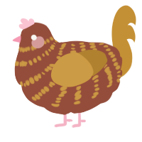A russet and gold chicken with a bar pattern
