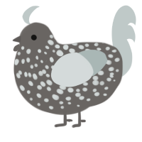 Greylist, a grey and silver chicken with a speckle pattern