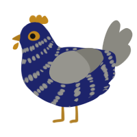 A navy and ash chicken with a bar pattern