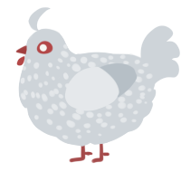 A mist chicken with a speckle pattern