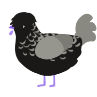 (unnamed), a sable and ash chicken with a half-lace pattern