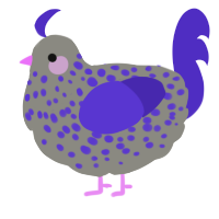 A ash and indigo chicken with a speckle pattern