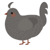 A grey chicken with a lace pattern