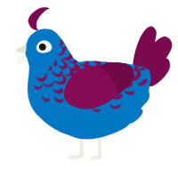 A sapphire and wine chicken with a half-lace pattern