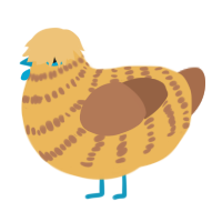 A honey and brown chicken with a bar pattern