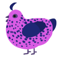 A orchid and navy chicken with a speckle pattern