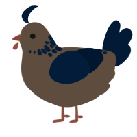 A bark and tumblr chicken with a neck-speckle pattern