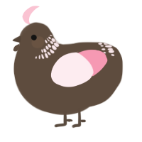 A bark and rose chicken with a neck-band pattern