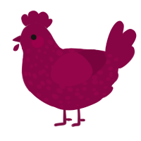 A maroon chicken with a speckle pattern