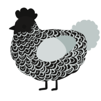 A sable and silver chicken with a double-lace pattern