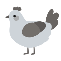 Chroma, a mist and grey chicken