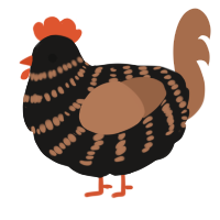 A sable and brown chicken with a bar pattern