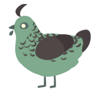 A cerulean and navy chicken with a half-lace pattern