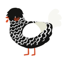 A black and white chicken with a lace pattern