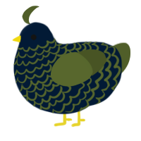 (unnamed), a tumblr and olive chicken with a lace pattern