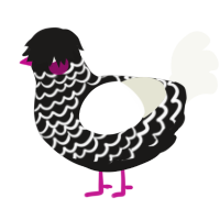 A sable and white chicken with a lace pattern