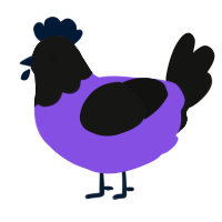 A blurple and black chicken with a head pattern
