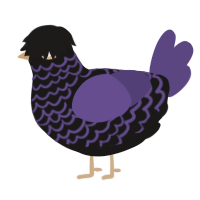 A sable and overcast chicken with a lace pattern