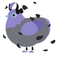 A grey and indigo chicken with a head pattern