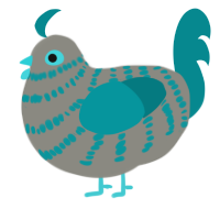 (unnamed), a ash and teal chicken with a bar pattern