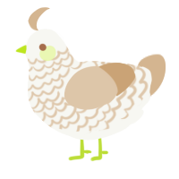 Tiranoffee, a white and beige chicken with a lace pattern