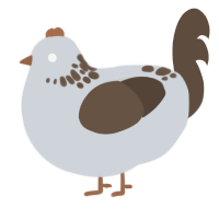 Cocopuff, a mist and bark chicken with a neck-speckle pattern