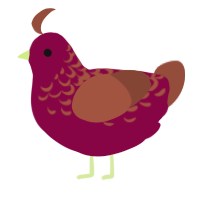 A maroon and russet chicken with a half-lace pattern