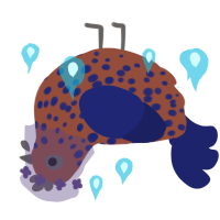 Deerie, a russet and navy chicken with a speckle pattern