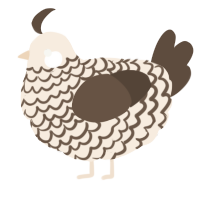 A cream and bark chicken with a lace pattern